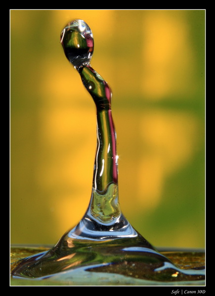 2007   01   goutte 11